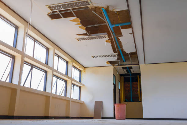 Best Carpet water damage restoration  in Wrightwood, CA