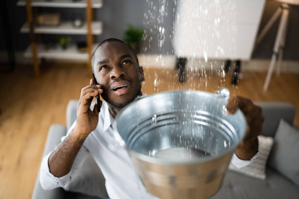 Best Mold removal after water damage  in Wrightwood, CA