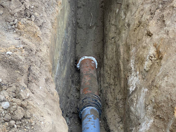 Best Sewage cleanup and water damage restoration  in Wrightwood, CA