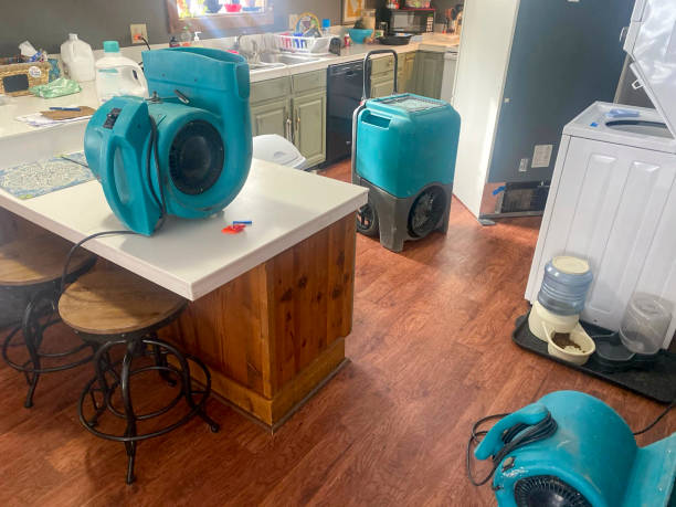 Wrightwood, CA Water damage restoration Company