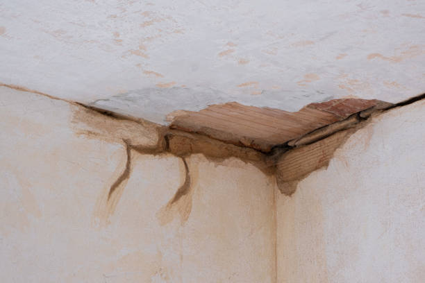 Best Flooded house restoration  in Wrightwood, CA