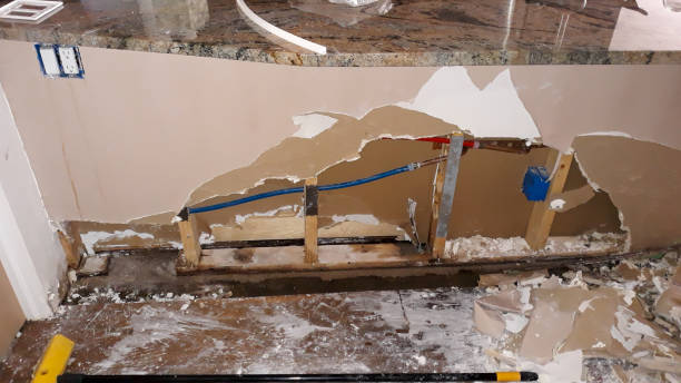 Best Water damage mitigation services  in Wrightwood, CA