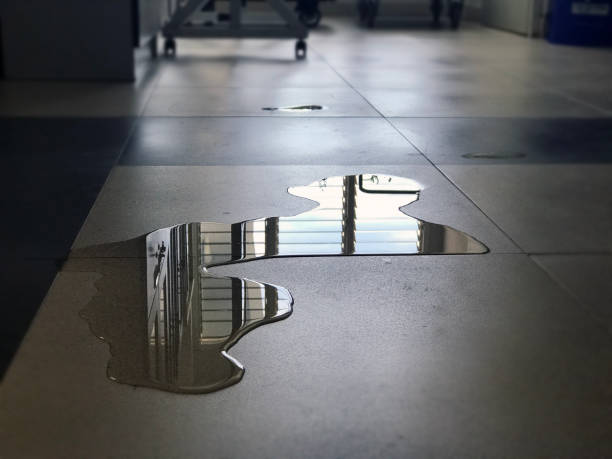 Best Professional water damage repair  in Wrightwood, CA