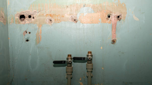 Best Water damage cleanup near me  in Wrightwood, CA
