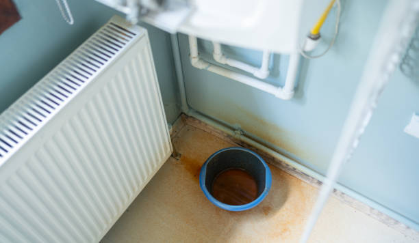 Best Fire Damage Restoration  in Wrightwood, CA