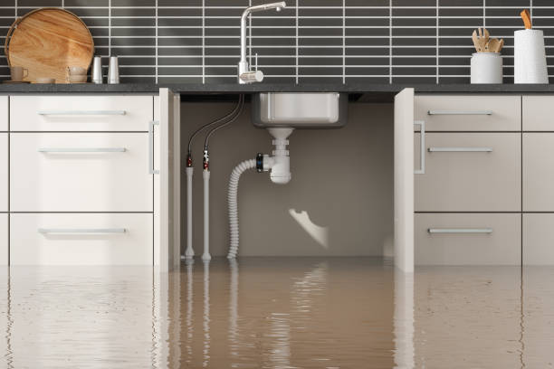 Best Water damage restoration cost  in Wrightwood, CA
