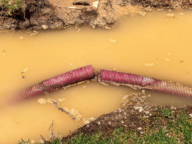 Best 24/7 water damage repair  in Wrightwood, CA