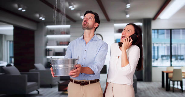 Best Residential water damage restoration  in Wrightwood, CA